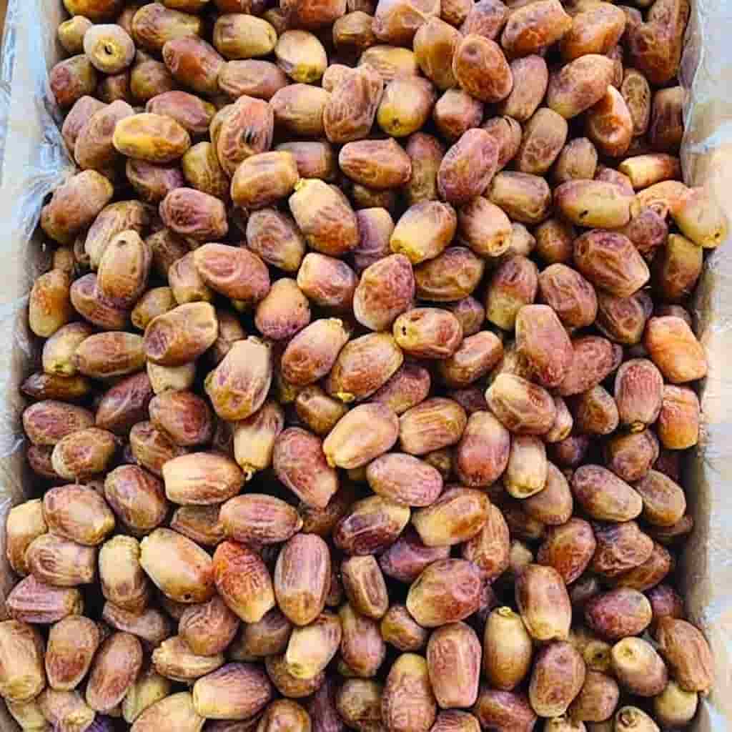 خرما زاهدی مشکین با کیفیت عالی و طعم اصیل جنوب